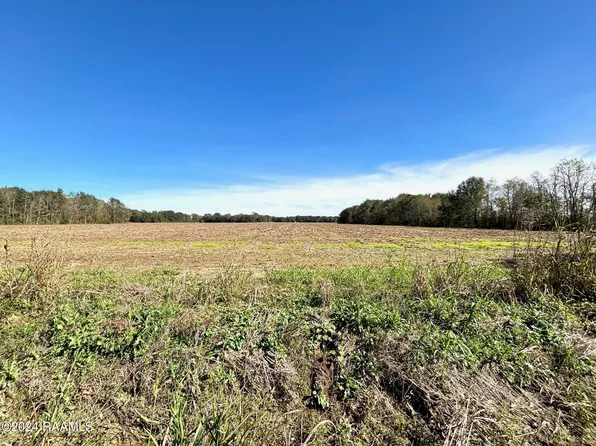 LOT 4 Savoie Rd, Sunset, LA 70584