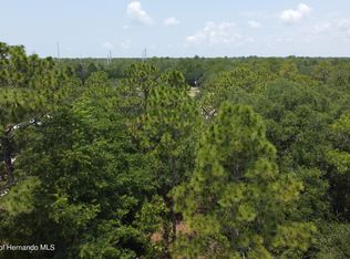 14067 Grebe Rd, Weeki Wachee, FL 34614