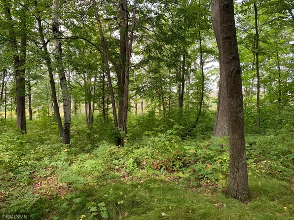 310th Pl, Aitkin, MN 56431