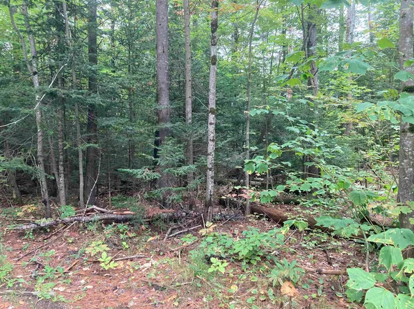 0 N.H. Route 118, Dorchester, NH 03266