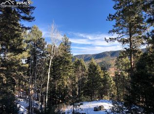 194 Summer Haven Dr, Woodland Park, CO 80863