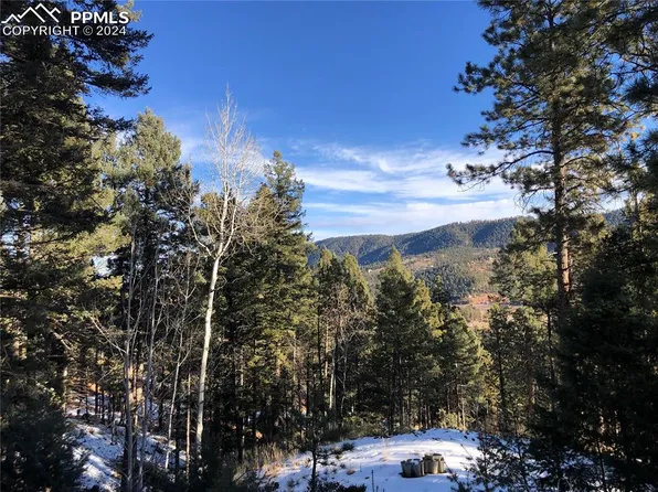 194 Summer Haven Dr, Woodland Park, CO 80863