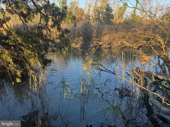 Route 343, Cambridge, MD 21613