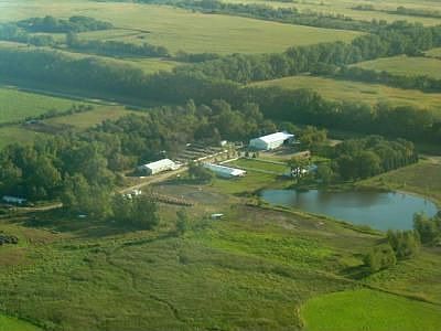 Horse Farm