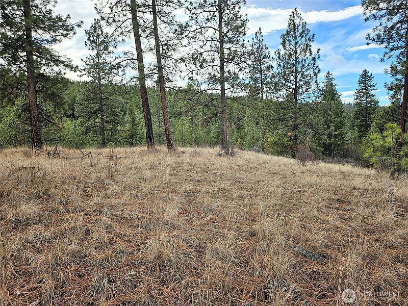 5th image of 315 W Corral Drive