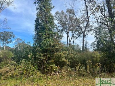 0 Magnolia St, Guyton, GA, 31312