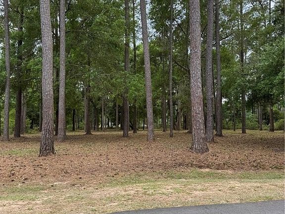 3rd image of 0 Fair Hope Drive NE