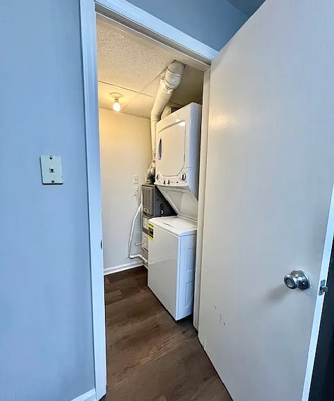 Willow Dr — Photo 19