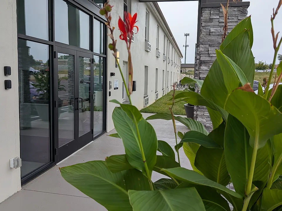 Studios on Spring