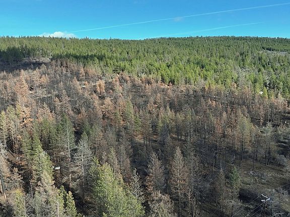 5th image of Hummingbird Dr