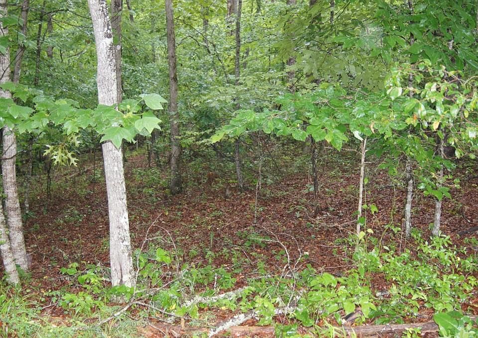 1st image of 0 River Flow Dr Lot N/a