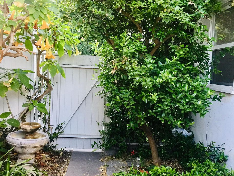 Open House Sunday March 24th
12-1 pm