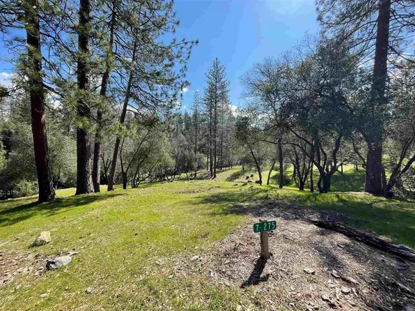 13095 Fox Ct, Groveland, CA 95321