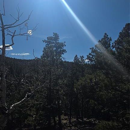 5th image of 169 Osoeola Rd