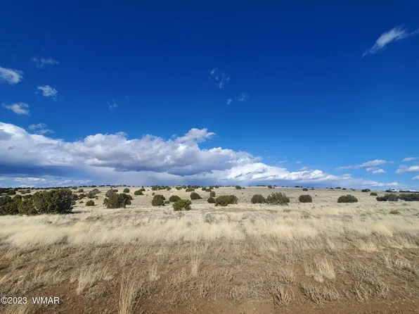County Road 5111, Concho, AZ 85924