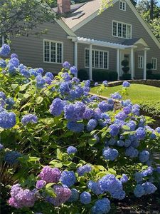 6 Green Beach Dr, Norwalk, CT, 06853