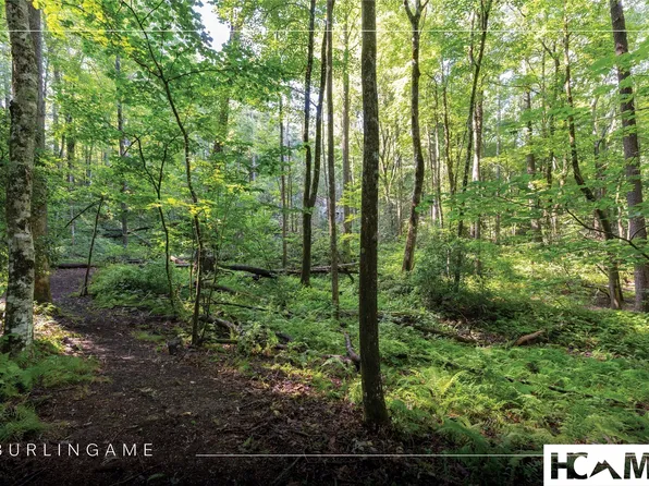 63B Big Pine Road, Sapphire, NC 28774