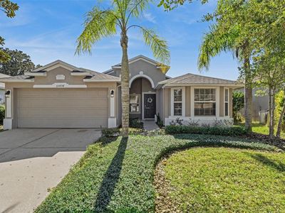 15436 Amberbeam Blvd, Winter Garden, FL, 34787