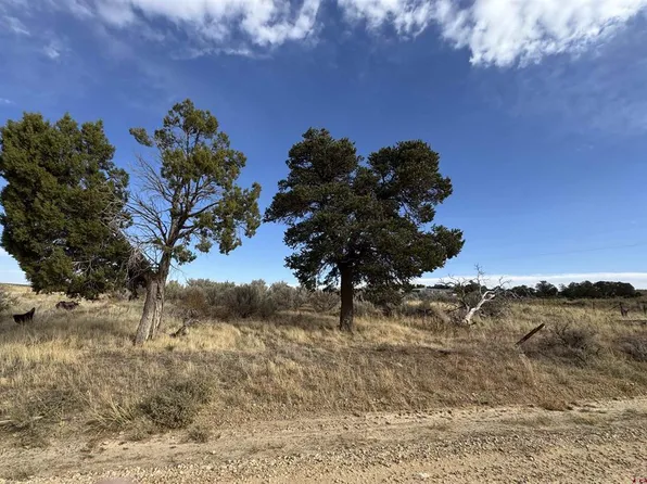 12040 Road N, Cahone, CO 81320