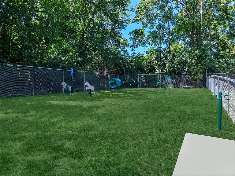 Pet Park