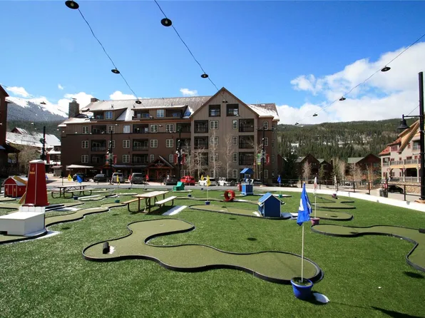 150 Dercum Sq #8495, Dillon, CO 80435