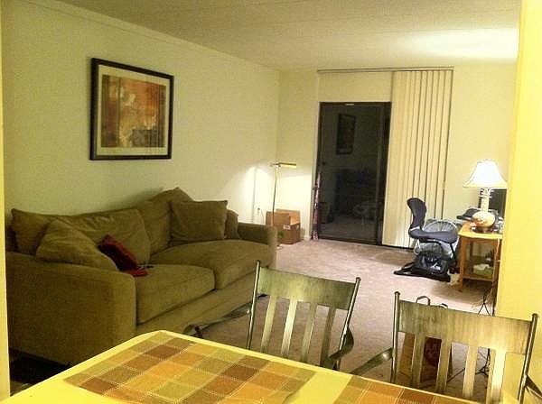 Living Room & Breakfast Bar