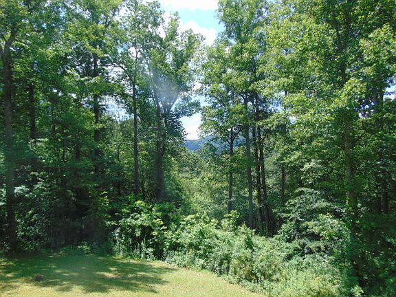 4th image of 419 Collinwood Dr