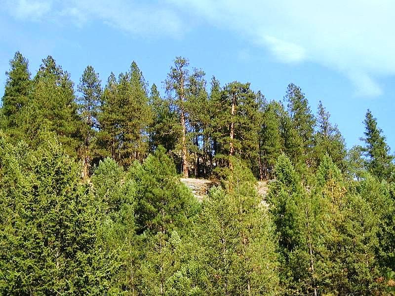 2nd image of 3733 Sand Creek Rd #A