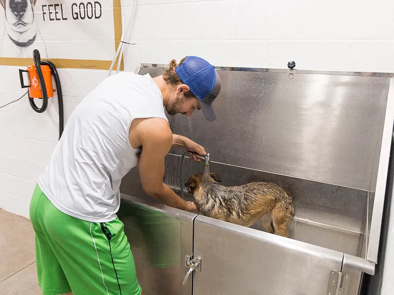 No more wet hair in your bathroom! Bring your pup to our pet-wash station for some grooming.