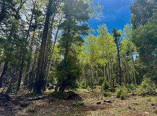 455 El Camino Real, Angel Fire, NM 87710