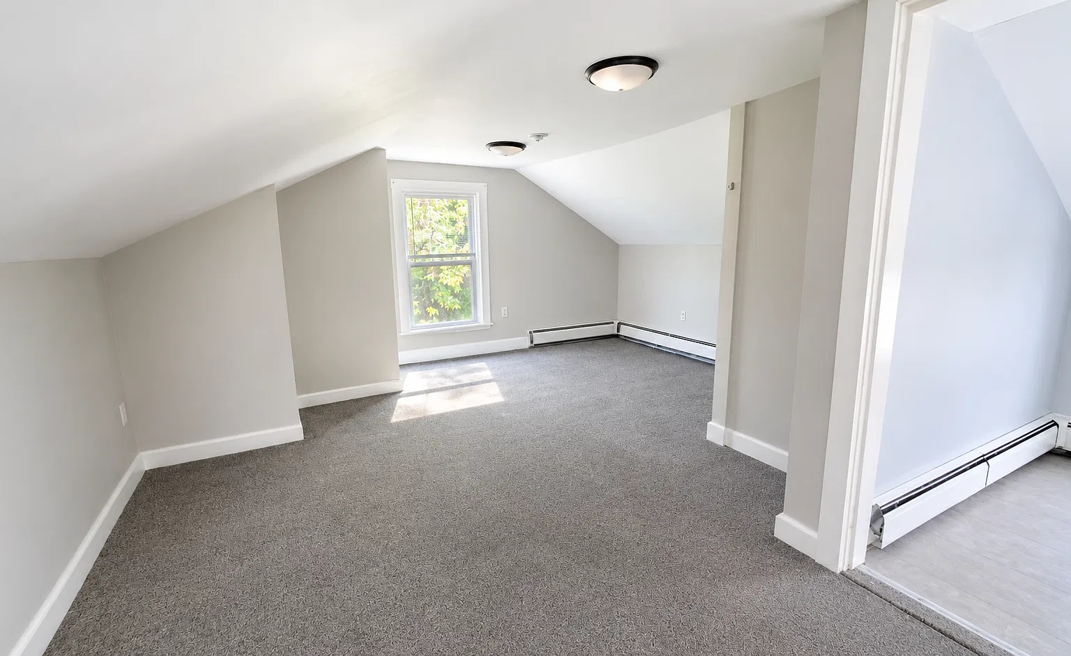 1 bed, 800 sqft, $1,225 — Photo 4