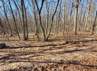 155 Cardinal Dr, Bushkill, PA 18324