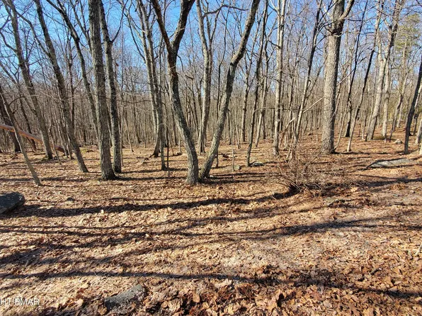 155 Cardinal Dr, Bushkill, PA 18324