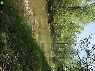 2nd image of Dodd Rd
