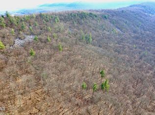 0 Brumbaugh Rd, New Enterprise, PA 16664