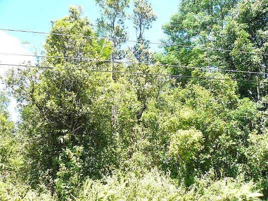 3rd image of Maile St Lot 4