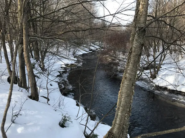 Baldwig Rd, Pulaski, NY 13142