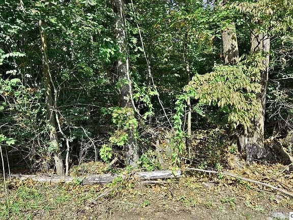 5th image of 56 Laurel Springs Rd Lot 5&6