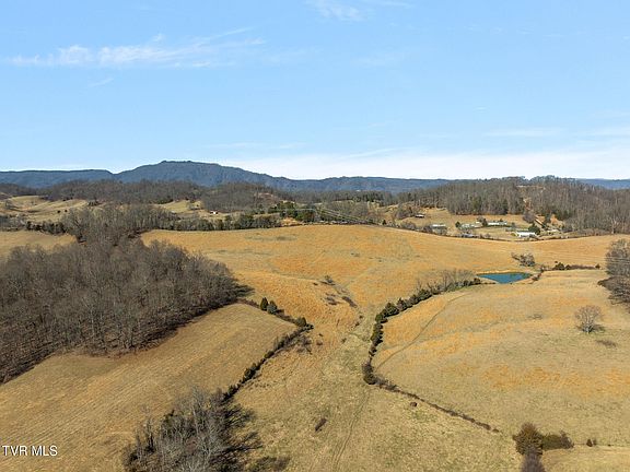 2nd image of 5 Tennessee #93