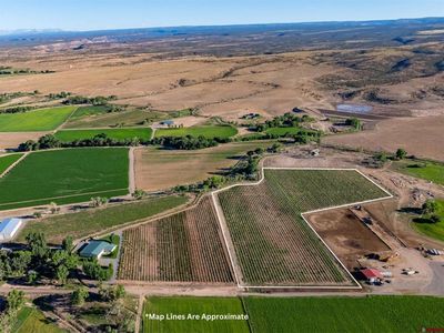 TBD Falcon Road, Olathe, CO, 81425