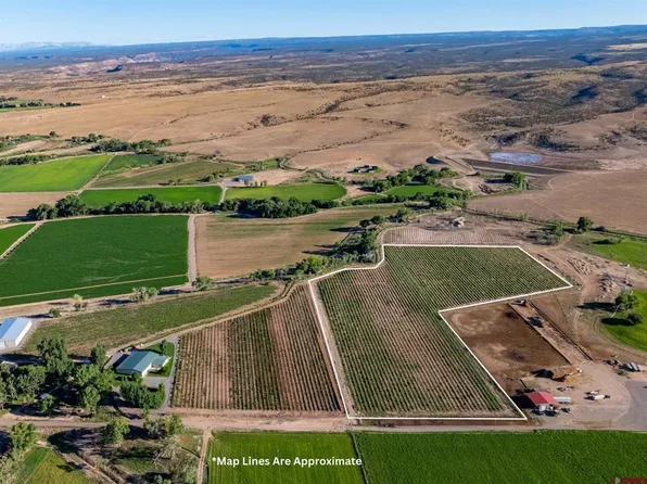 TBD Falcon Road, Olathe, CO 81425