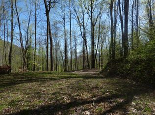 329 Pepsi Hts, Sylva, NC 28779