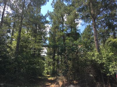 0 Moran Rd, Gulfport, MS, 39503