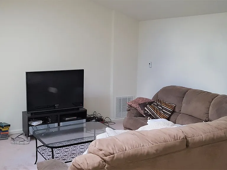 317 Lenape Way — Photo 19
