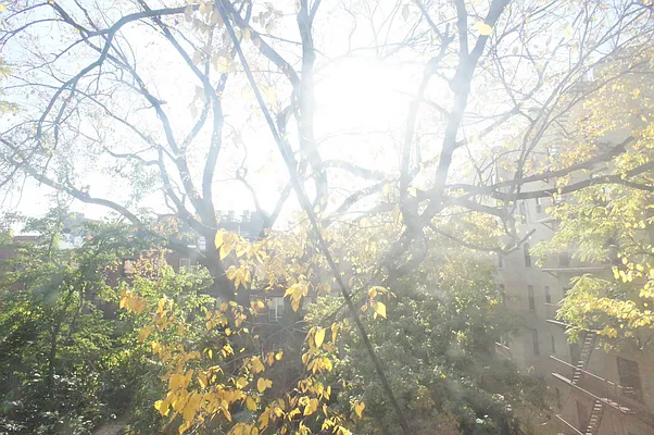 Rented by Keller Williams NYC | media 16