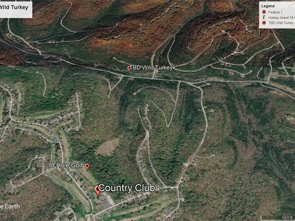 Wild Turkey Dr #13, Eureka Springs, AR 72631