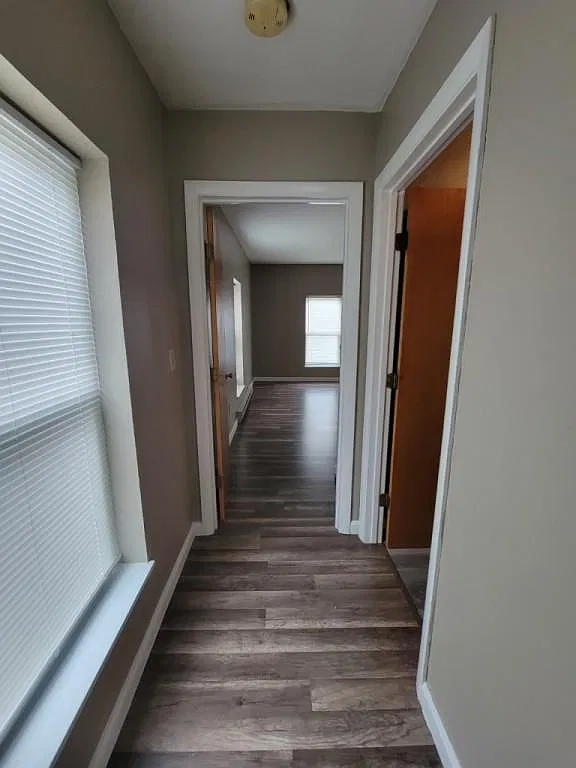 1 bed, $1,200 — Photo 3