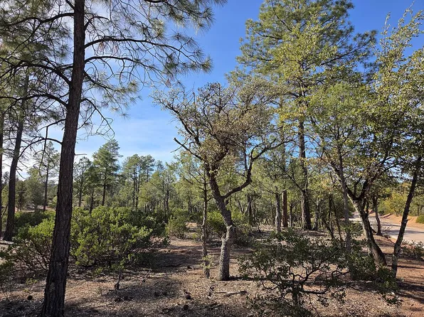 1306 N Karen Way, Payson, AZ 85541