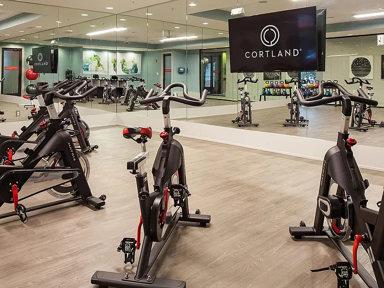 Cortland at the Village — Photo 28