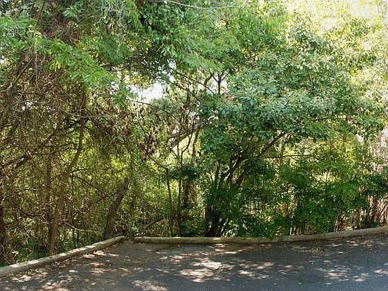 1st image of 2802 Birdcreek Dr